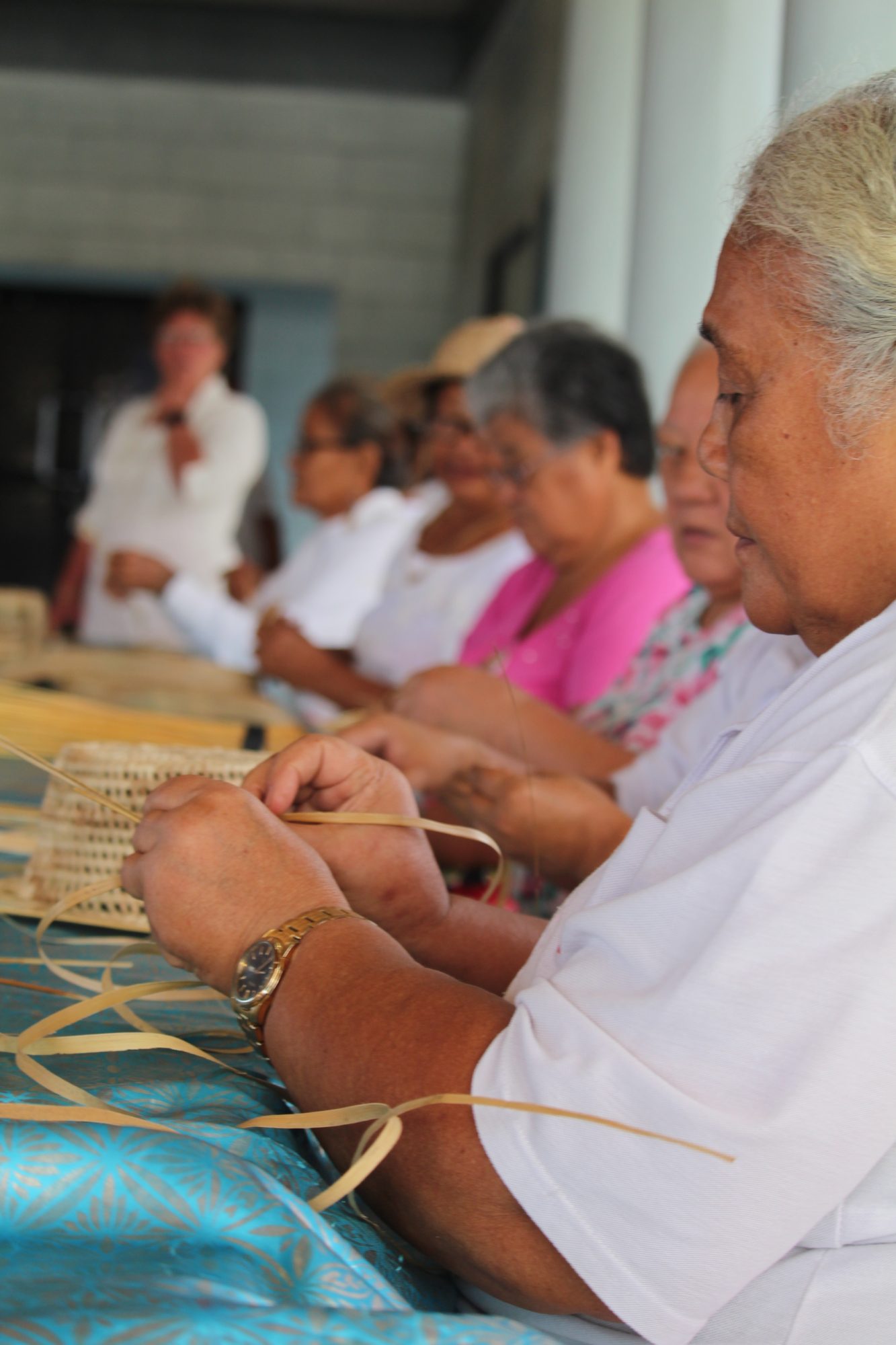 Pacific Jurisdictions Site Visit